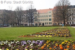 Wilhelmsplatz in Görlitz