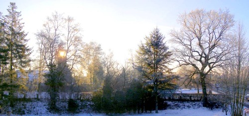 Die tiefstehende Sonne verzaubert die Natur