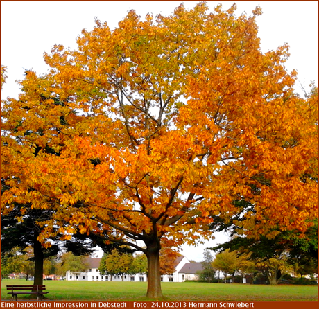 Herbsttag