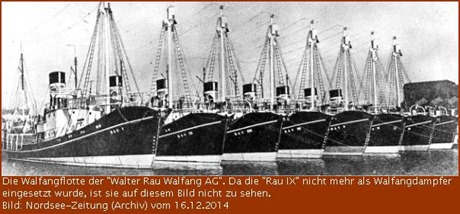 Wahlfangflotte Rau