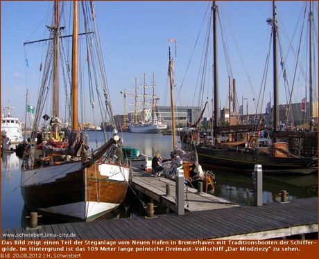 Die Steganlage im Neuen Hafen wird erneuert